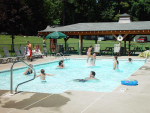 People swimming in pool