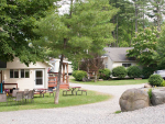 drive way leading to cabins among trees